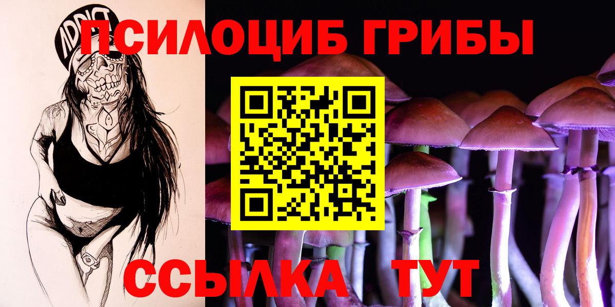Псилоцибиновые грибы Cubensis Улан-Удэ